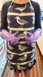 Apron and dish washing gloves